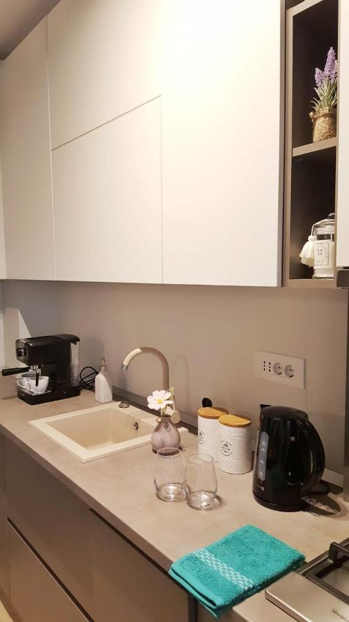 Elias Central Apartment - 2 Bedrooms & Free Parking Gran Varadino Esterno foto